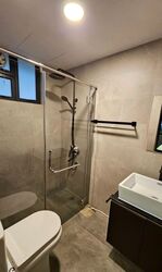 Cavenagh Gardens (D9), Apartment #577821841